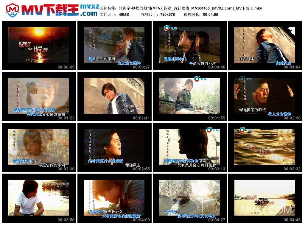 张振宇-蝴蝶的眼泪(MTV)_国语_流行歌曲_MA504165